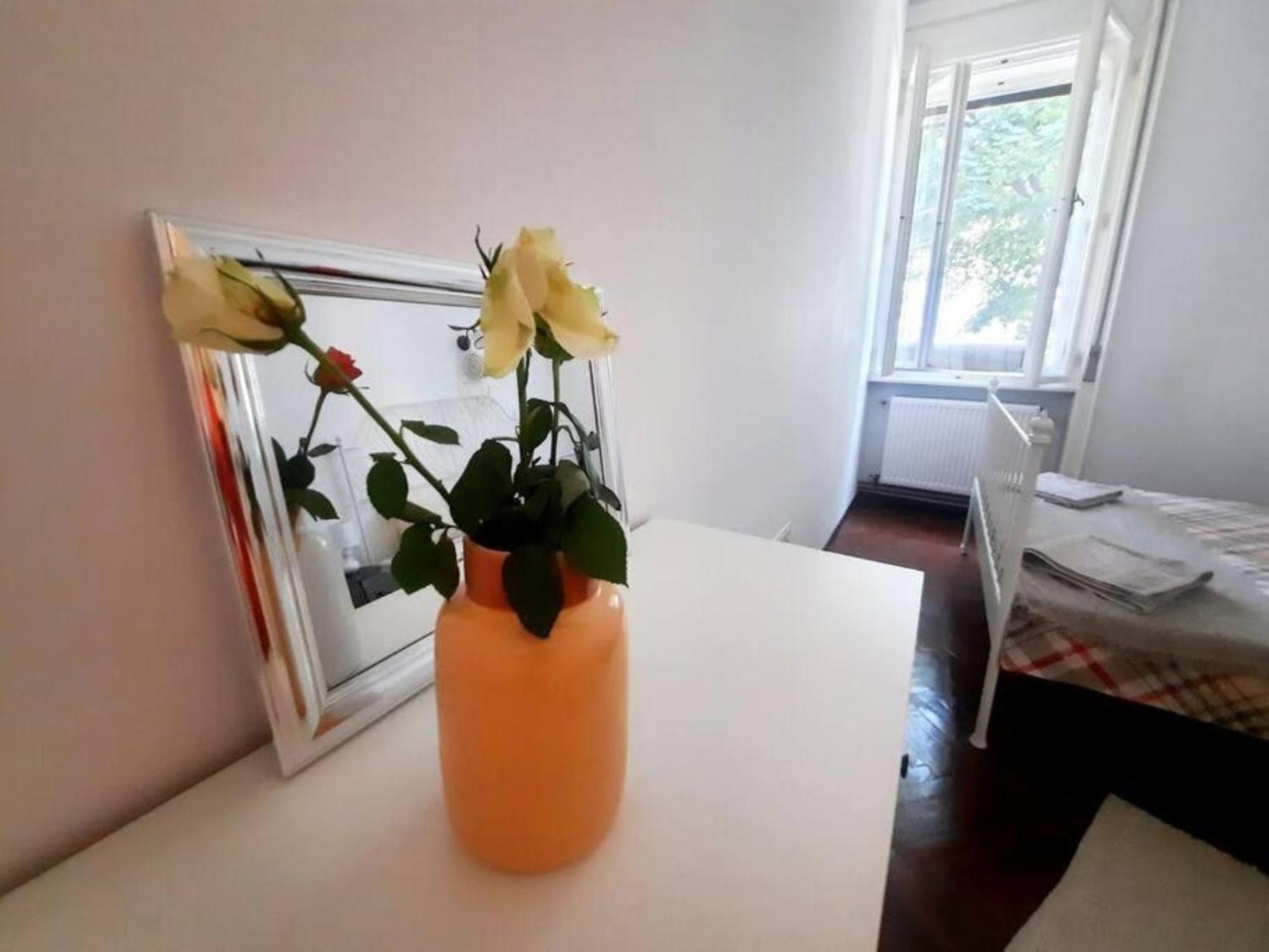 2 Bedroom Serviced Belle Vue By The Park Timisoara