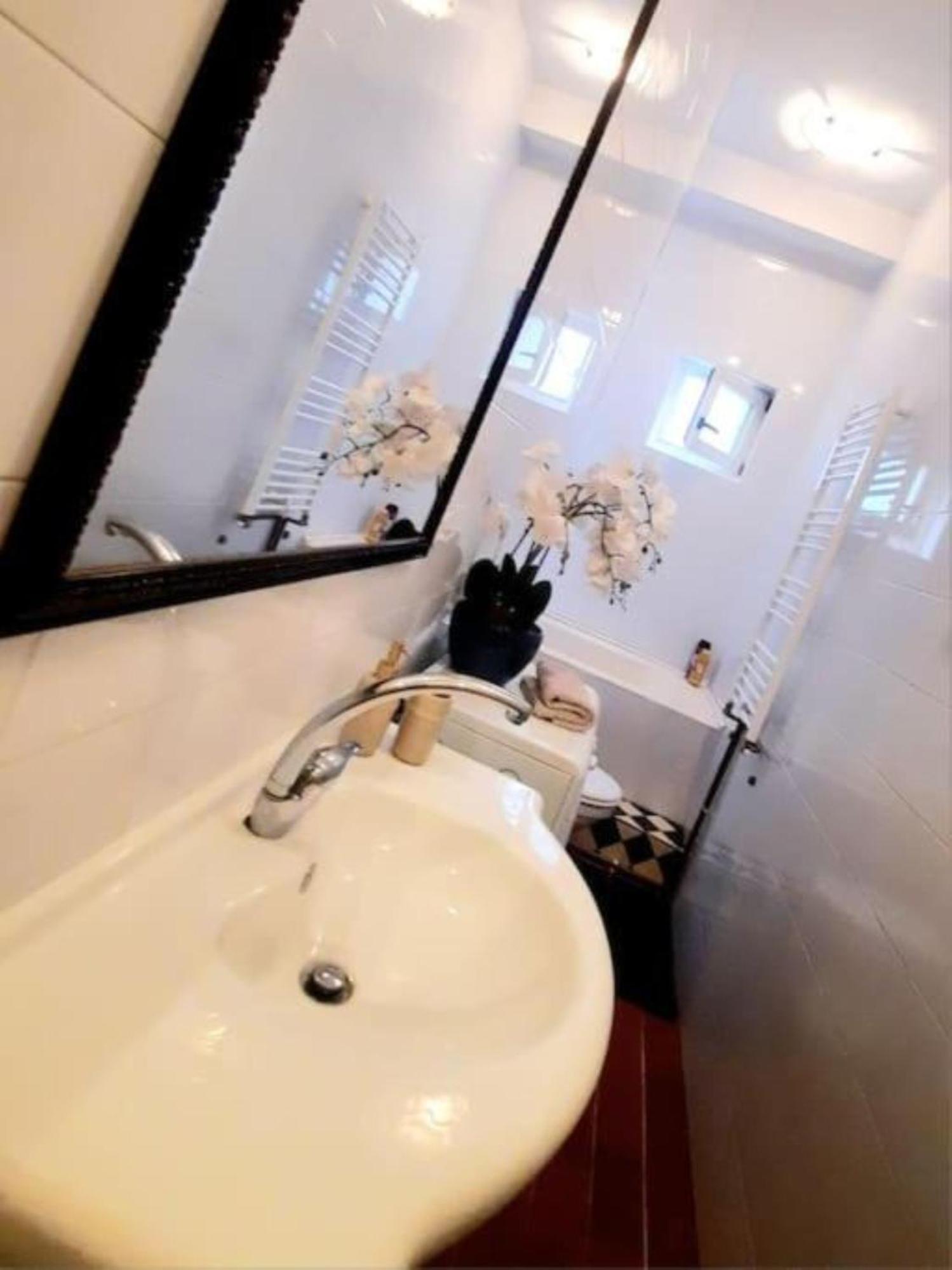 Apartment 2 Bedroom Serviced Belle Vue By The Park Timisoara