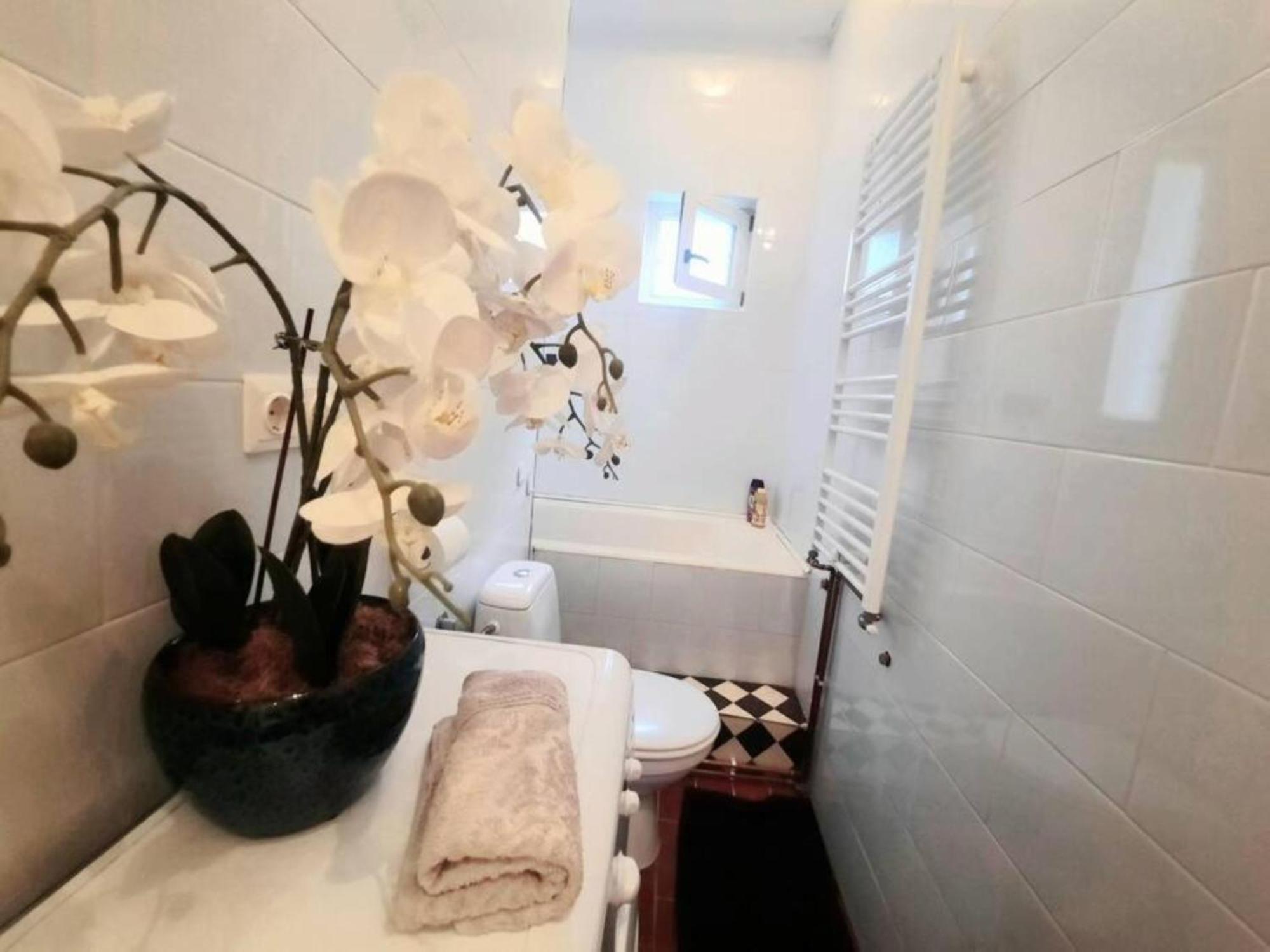 2 Bedroom Serviced Belle Vue By The Park *